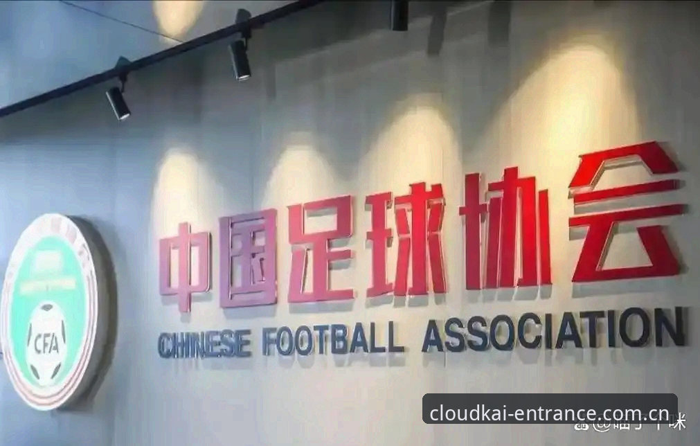 足球禁足令解读：从最新处罚名单看行业整顿实用指南