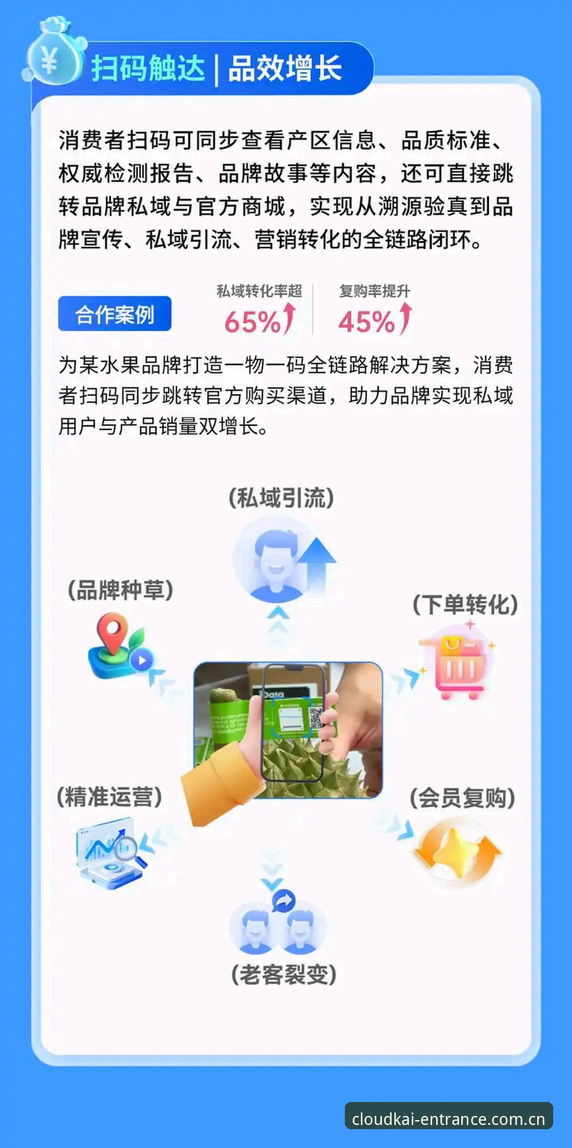 云开平台注册下载不了怎么办 揭秘:云开平台注册下载不了怎么办?2026版实测解决方案全公开
